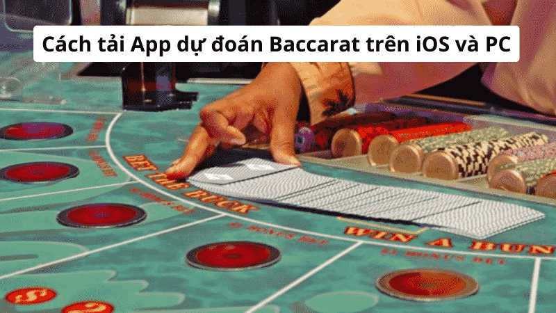 Cách tải App dự đoán Baccarat trên iOS và PC