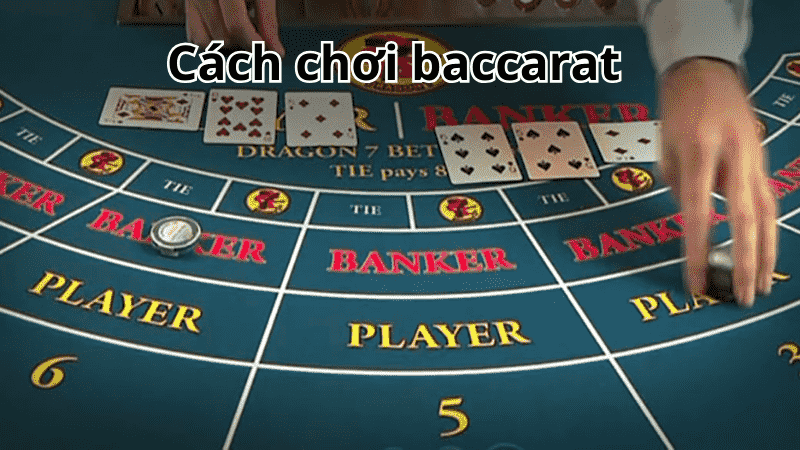 Cách chơi baccarat cho những người mới bắt đầu